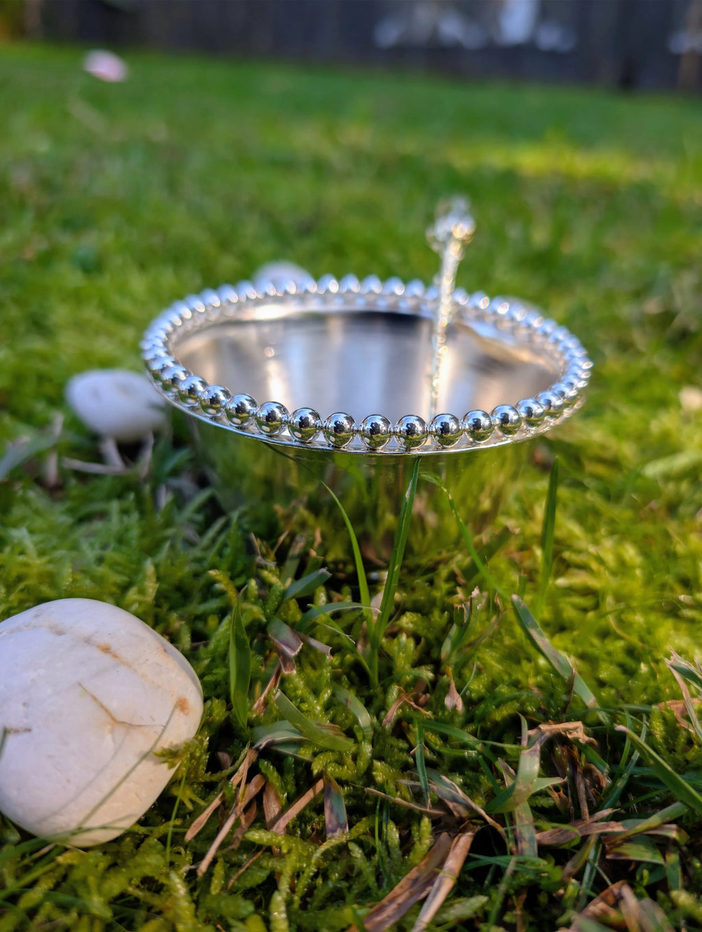 Stainless steel bowl with a beaded rim and a spoon, side view on grass