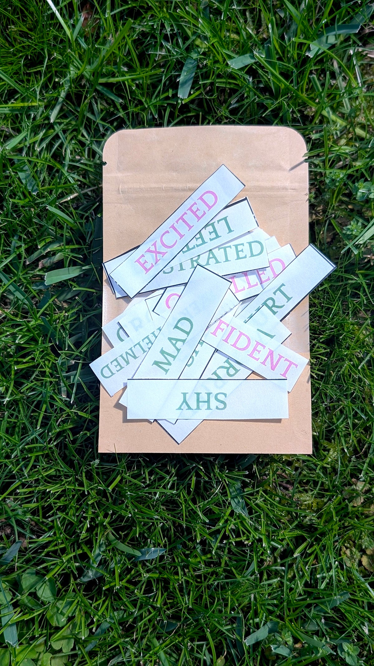 The Root & Bloom Kit