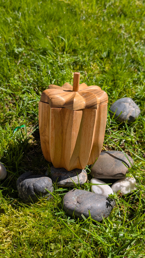 Nona wooden pot with a pumpkin-shaped lid on grass among dark stones
